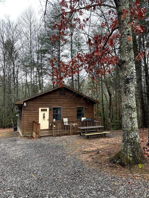 Private Cozy Cabin In The Woods With Great View Murphy Exterior photo
