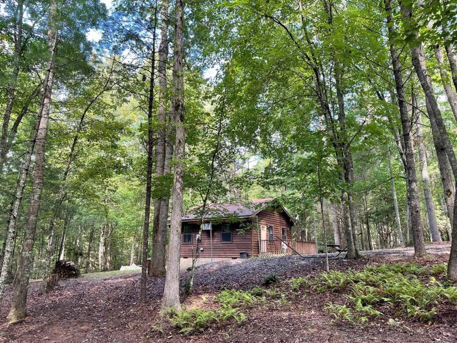 Private Cozy Cabin In The Woods With Great View Murphy Exterior photo
