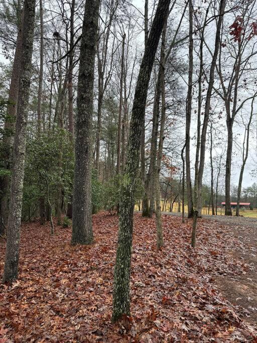 Private Cozy Cabin In The Woods With Great View Murphy Exterior photo